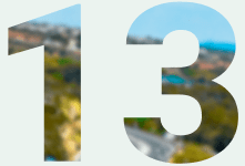 13